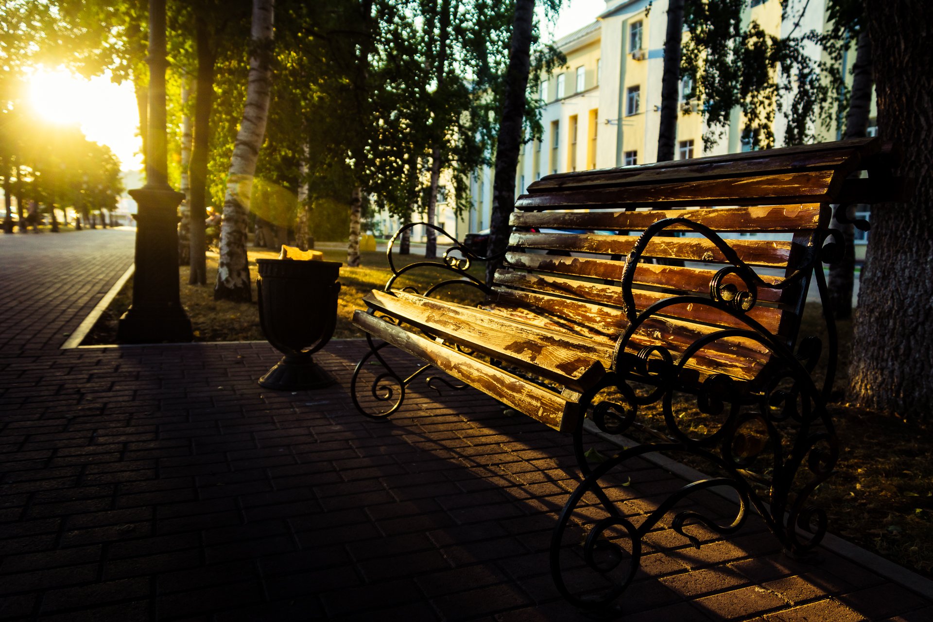 bench